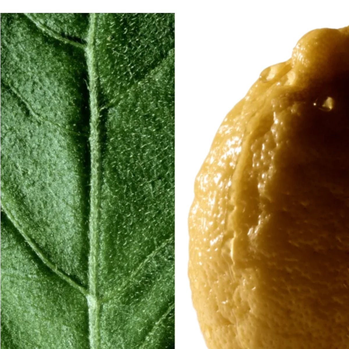 Eau de ParfumMontblancMontblanc Collection Patchouli Ink EDP 125 ml